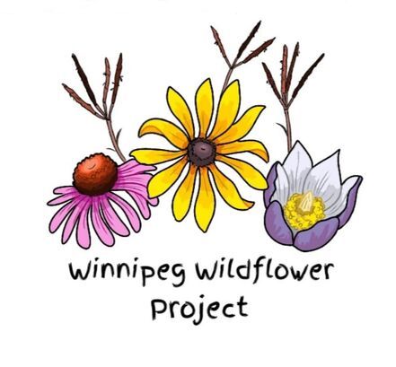 Winnipeg Wildflower Project